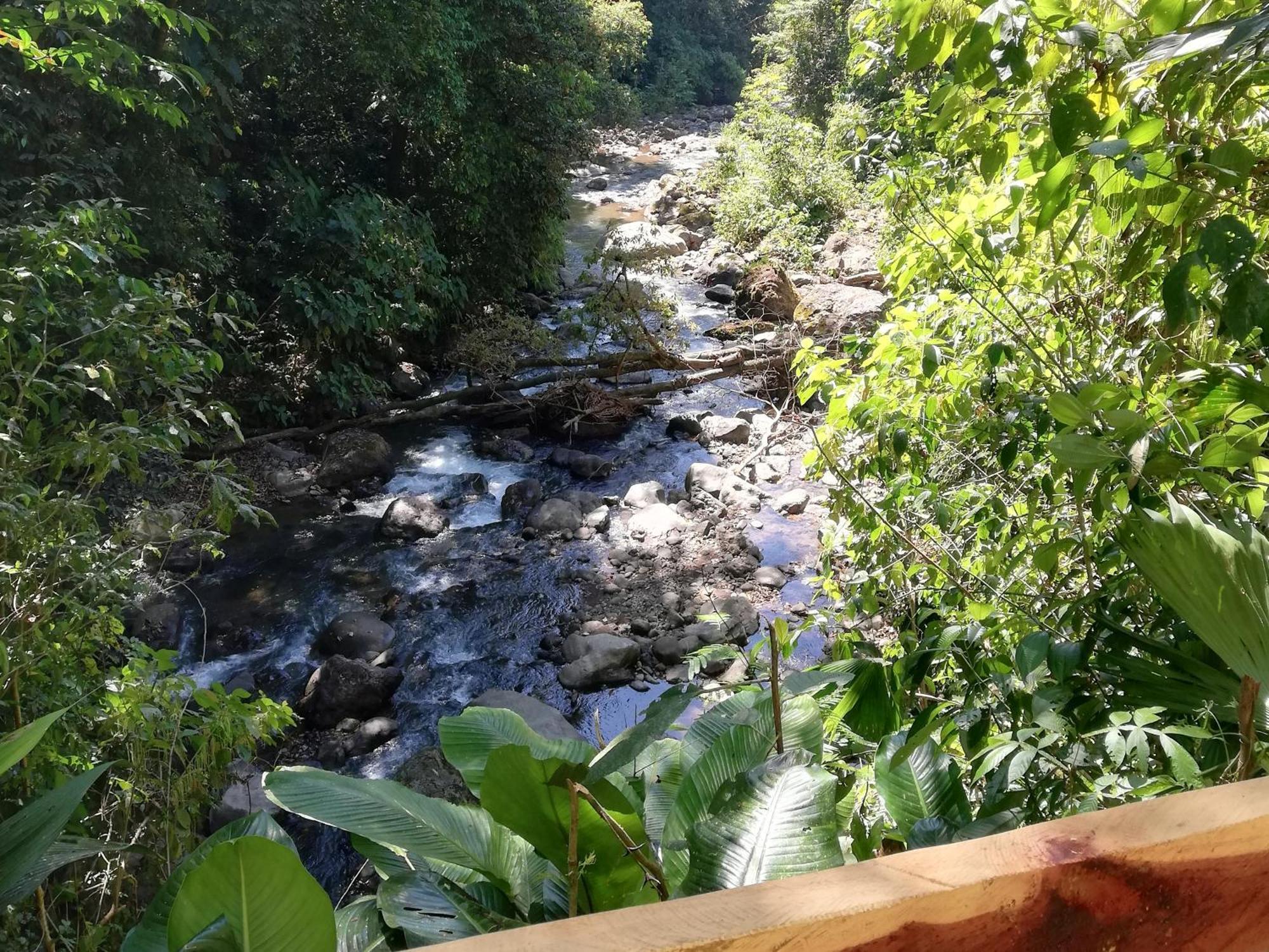 Hacienda Mil Bellezas - Private 40Ha Jungle Reserve Quepos Exterior photo