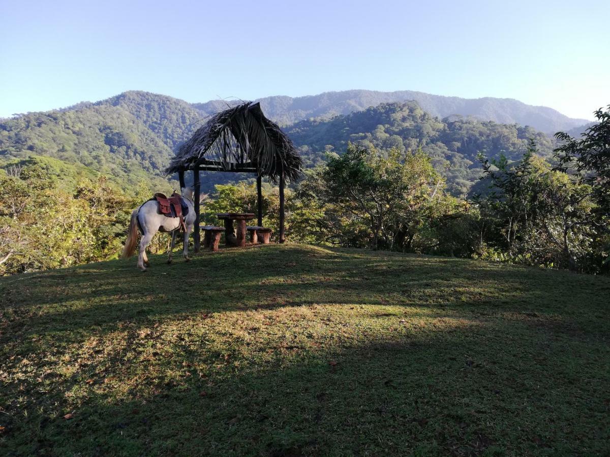 Hacienda Mil Bellezas - Private 40Ha Jungle Reserve Quepos Exterior photo